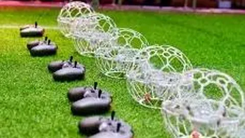 董璇龙之梦露面引关注：憔悴显老态，女儿围攻无惧场