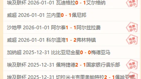 菲篮杯佳绩连发！揭秘理论数据与现实比拼背后的神秘差距